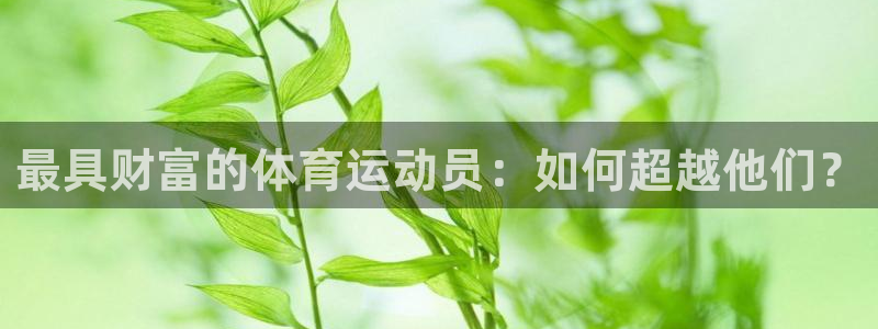 最具财富的体育运动员：如何超越他们？