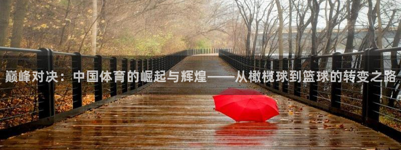 巅峰对决：中国体育的崛起与辉煌——从橄榄球到篮球的转变之路