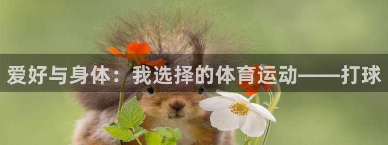 爱好与身体：我选择的体育运动——打球