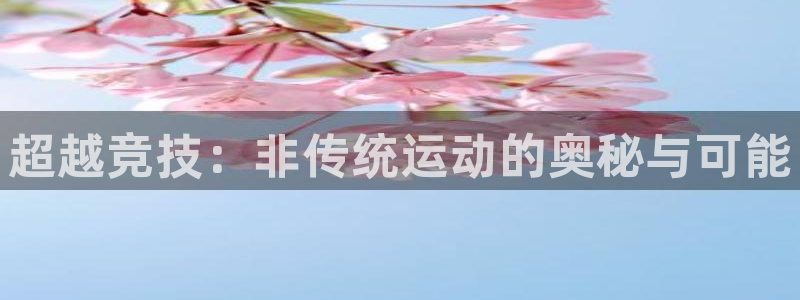 超越竞技：非传统运动的奥秘与可能