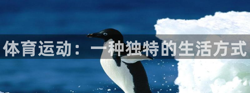 体育运动：一种独特的生活方式