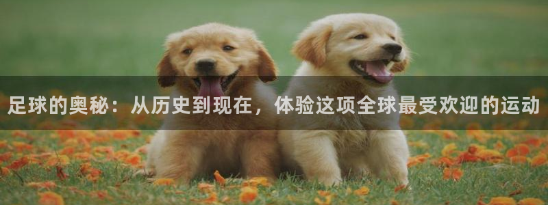 足球的奥秘：从历史到现在，体验这项全球最受欢迎的运动